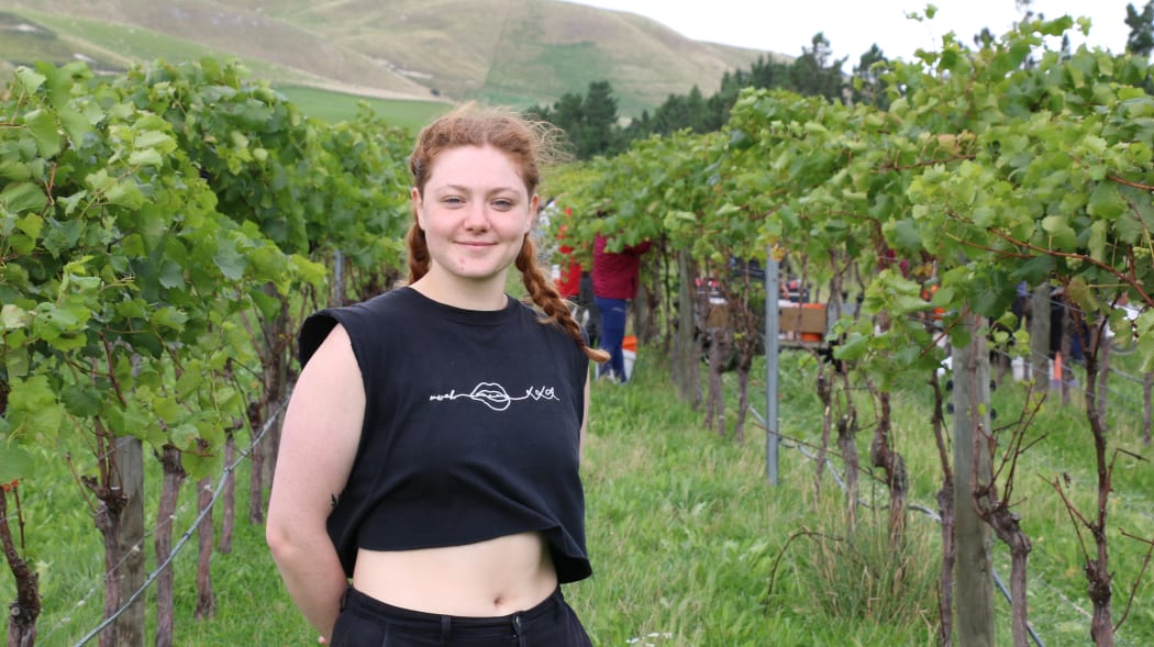 Vineyard ferment at Greystone Wines