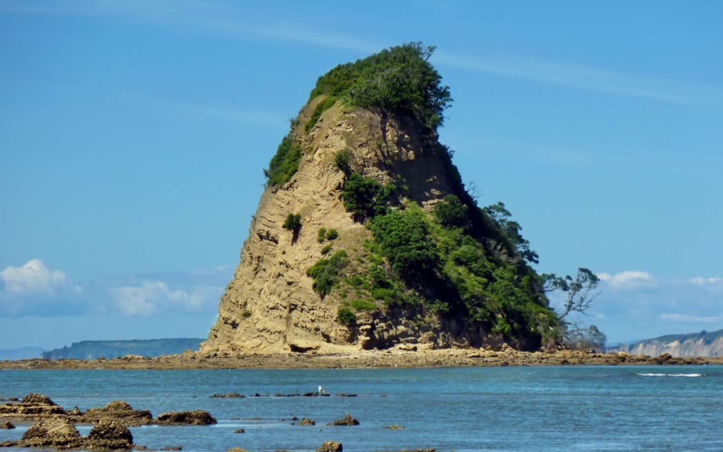 Rock in the sea at Wenderholm Regional Park near Auckland.