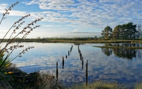 Old railway line bridge posts, estuary walkway, Karamea West Coast region, New Zealand.