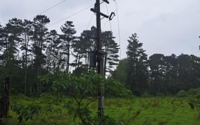 Cyclone Gabrielle is causing havoc in the Far North, downing trees and powerlines. Photos by Top Energy NZ