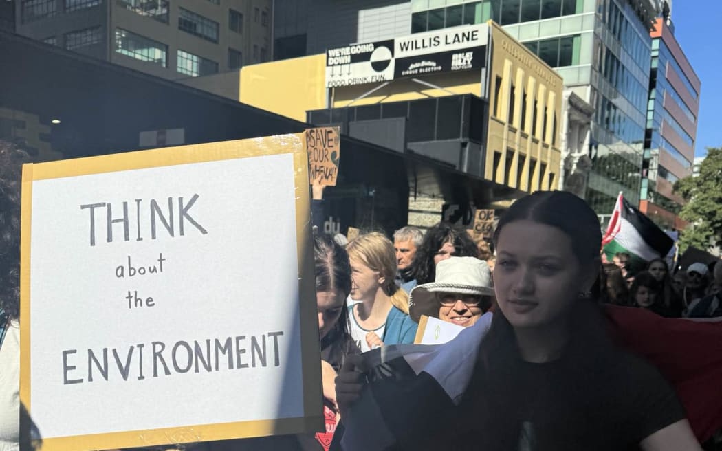 Climate protest in Wellington