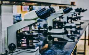 microscopes