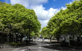Massey University