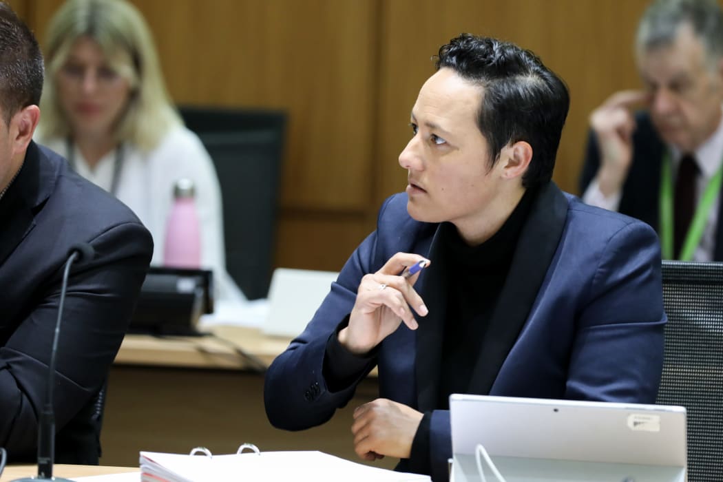Labour MP Kiri Allan questions submitters in committee