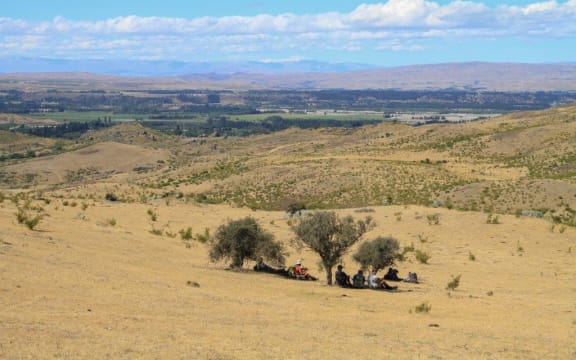 A photo taken on the day when Invercargill and Gore set new records for high temperatures. A group of walkers in Alexandra seek shade under three matagouri, looking like a scene from the Serengeti.