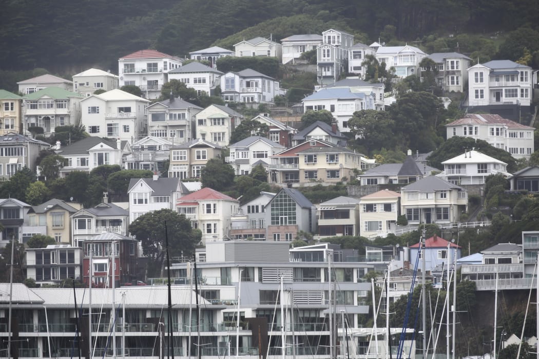 Wellington Rain; Housing;
