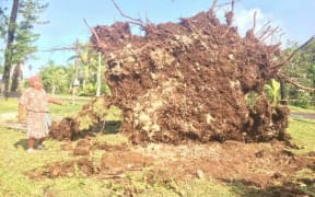 Donna's damage to Lifou in New Caledonia.