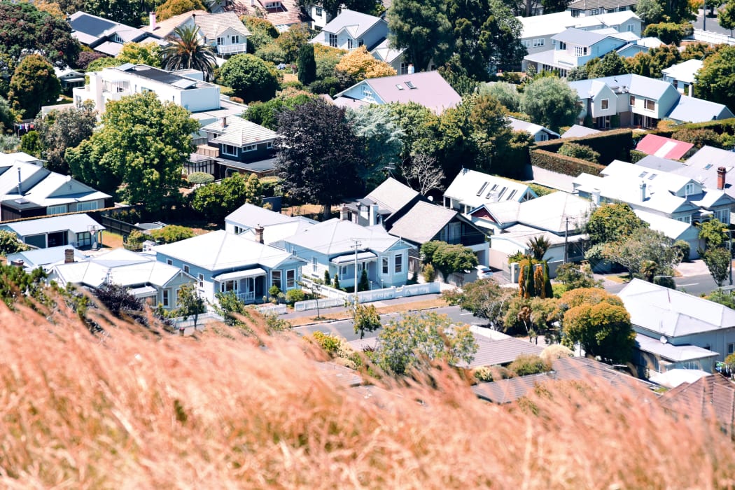 Houses as seen from Mount Eden summit in Auckland, New Zealand.