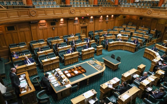 Former Speaker Trevor Mallard