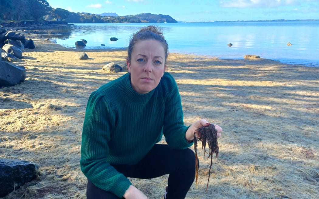 Northland Regional Councillor Amy Macdonald with the red seaweed she discovered at Whangārei Harbour.