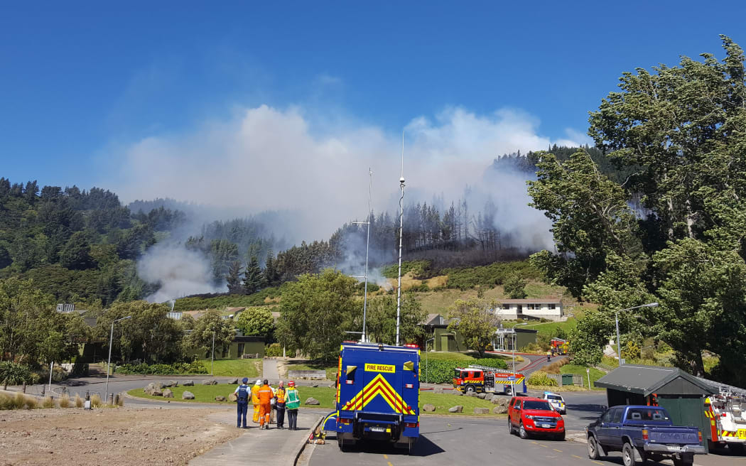 The fire on Signal Hill in Dunedin started behind the Logan Park High School.