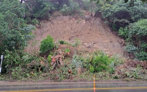 A slip on Ngapipi road, near Tamaki Drive in February 2023.