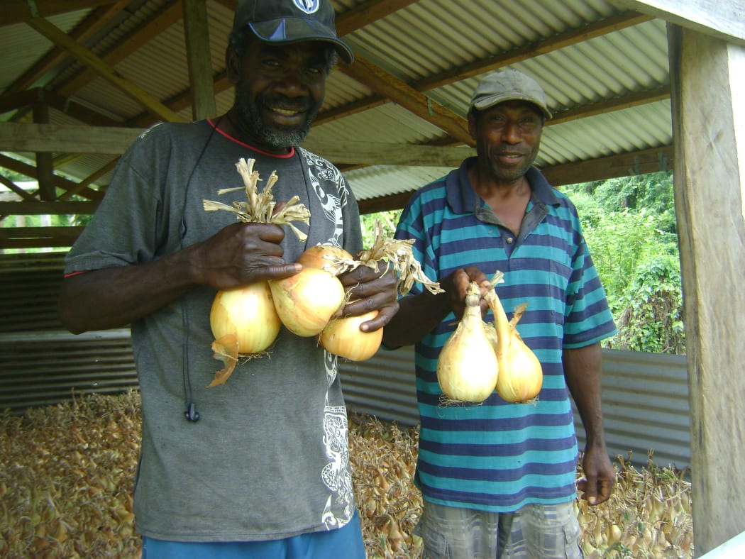 Vanuatu onion farmer