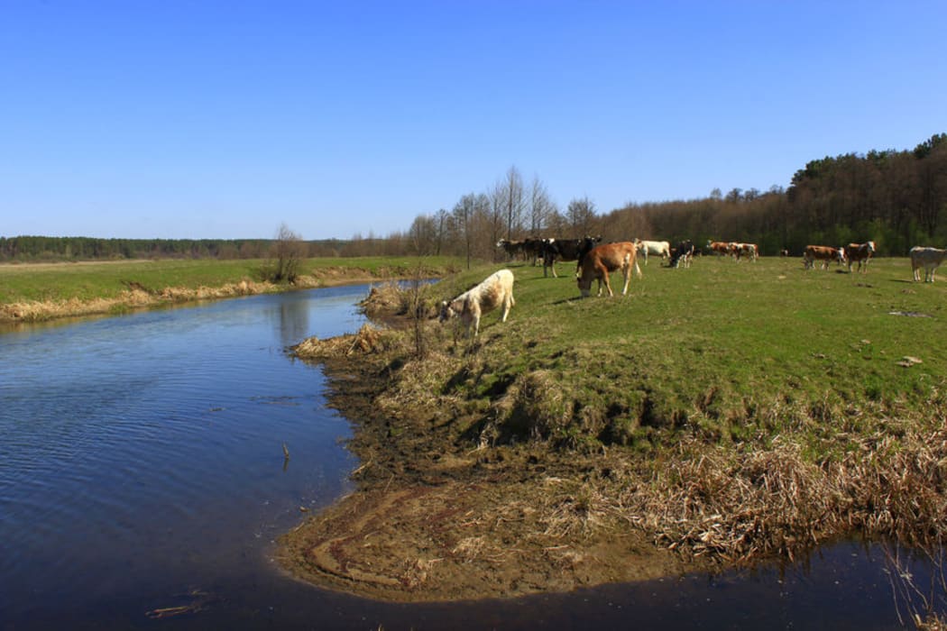 The only answer was for the government to be stricter on the intensification of dairy farming said Dr Mike Joy.
