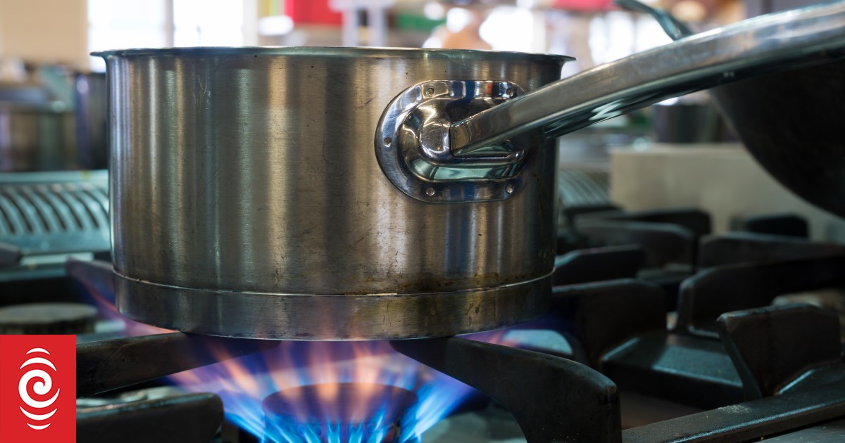 Possible 'death spiral' for piped gas network when prices rise, report warns - Vimarsana News