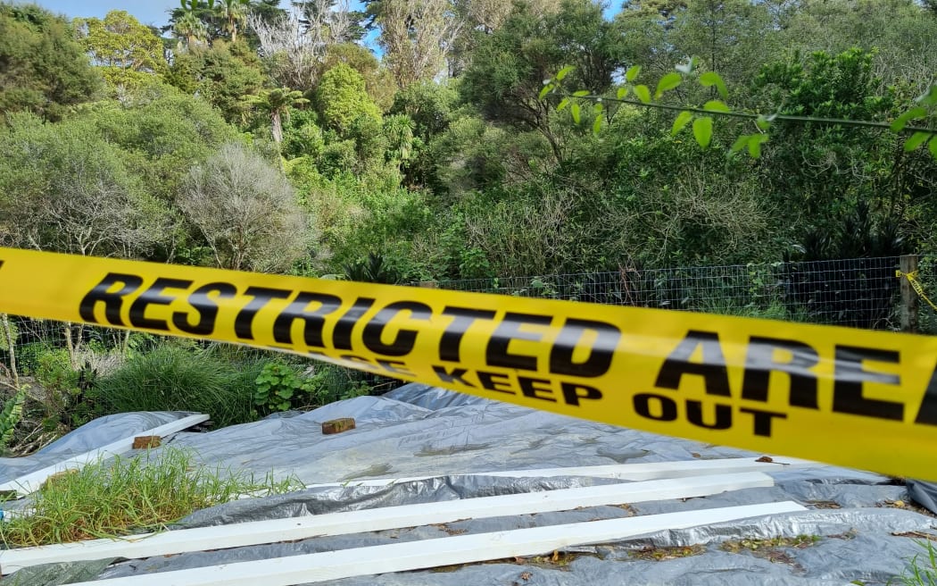 The backyard of Luci Harrison's home in Parnell is now the site of a dangerous slip.