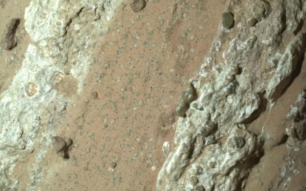 NASA’s Perseverance rover discovered “leopard spots” on a reddish rock on Mars.