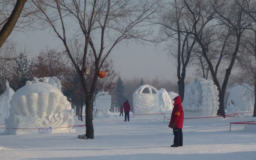 Ice sculpture