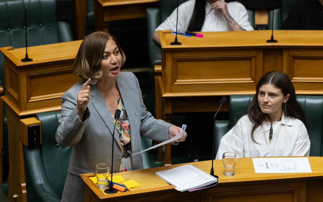 Green Party Co-Leader Marama Davidson in an animated Budget Debate speech.