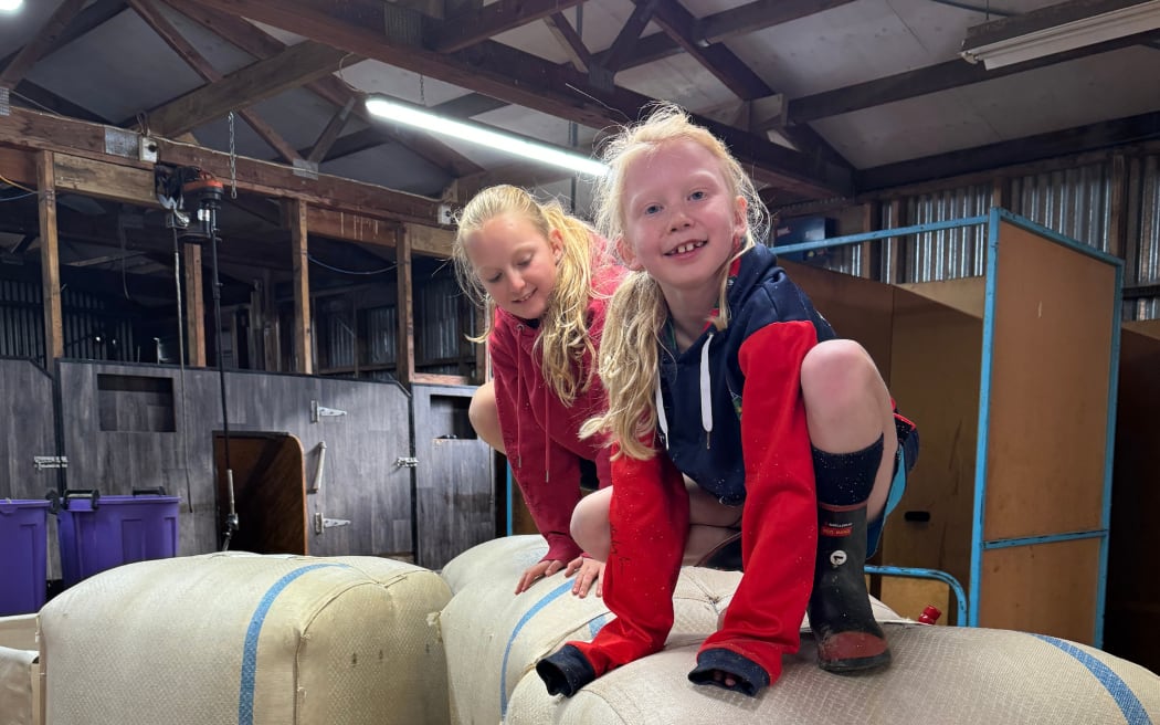 Two young girls crouching on top of wool bales