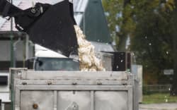 27 October 2025, Brandenburg, Neutrebbin: A wheel loader loads dead poultry into a container. Due to the highly contagious H5N1 virus (bird flu), the animals at a Fairmast farm had to be killed. Photo: Christophe Gateau/dpa (Photo by Christophe Gateau / dpa Picture-Alliance via AFP)
