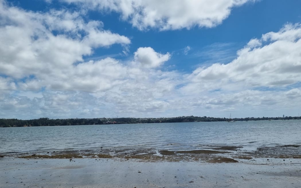 Auckland's Herne Bay Beach