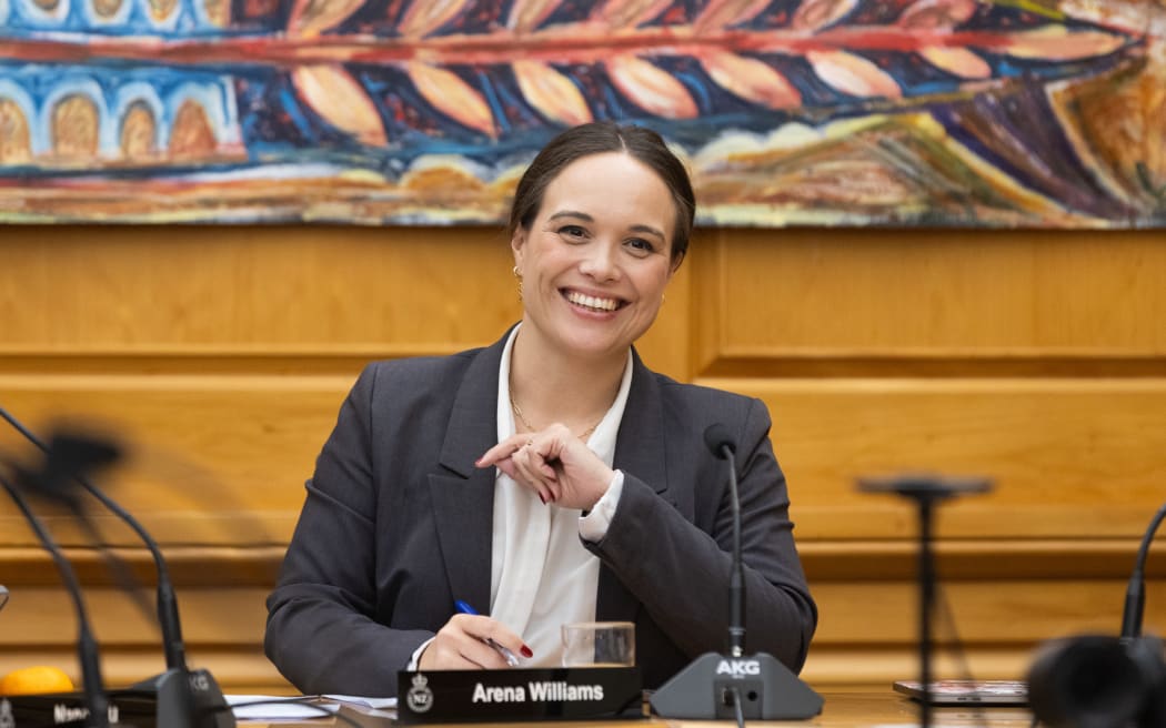 Labour MP Arena Williams chairing Parliament's Regulations Review Committee.