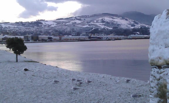 Snow fell to sea level in Dunedin.