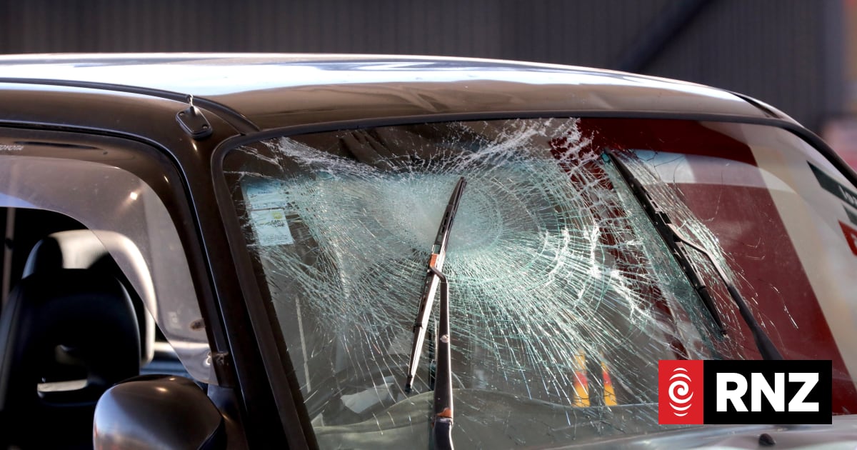 Five hurt, person arrested as witnesses say SUV hit cyclists in Epsom, dog killed