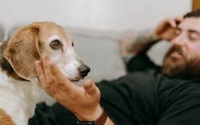 A bearded man on a couch pats his small dog.