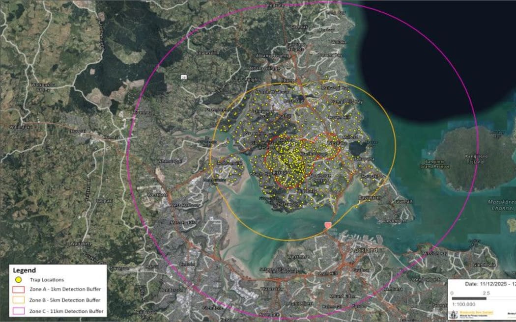 Trap locations as at 17 December 2025 (yellow dots). All queen yellow-legged hornets have been found in Zone A (red circle) - a 1km buffer around detections. (MPI)