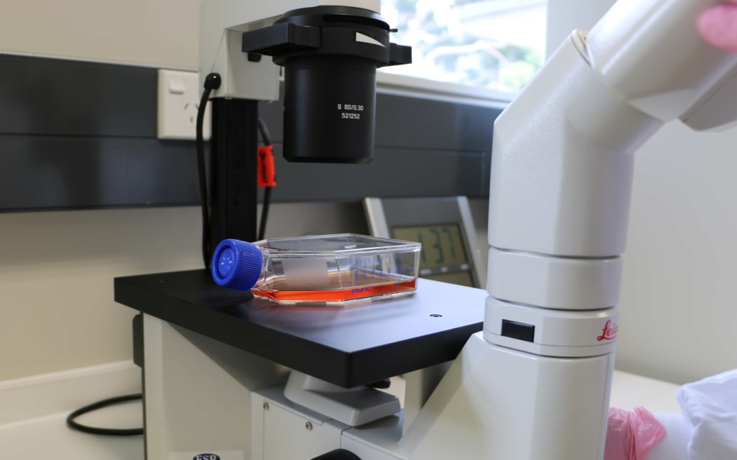 Virus samples are checked at the  WHO National Influenza Centre at Wallaceville