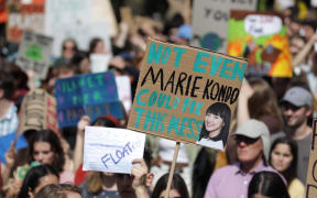 Marchers at the Wellington climate strike.