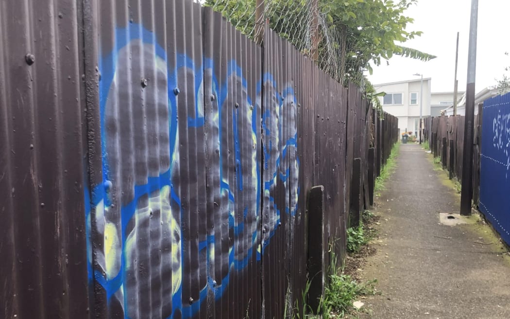 The alleyway finally got an upgrade last December, after decades of complaints from residents