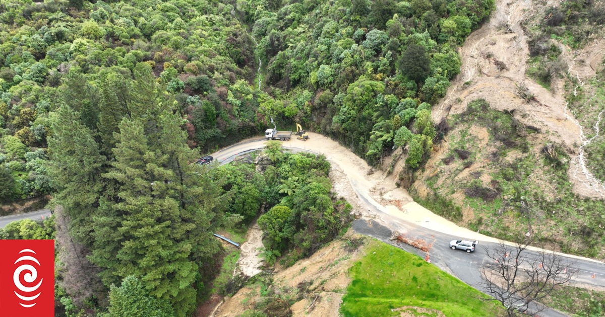 What are the Marlborough Sounds marine options? RNZ News