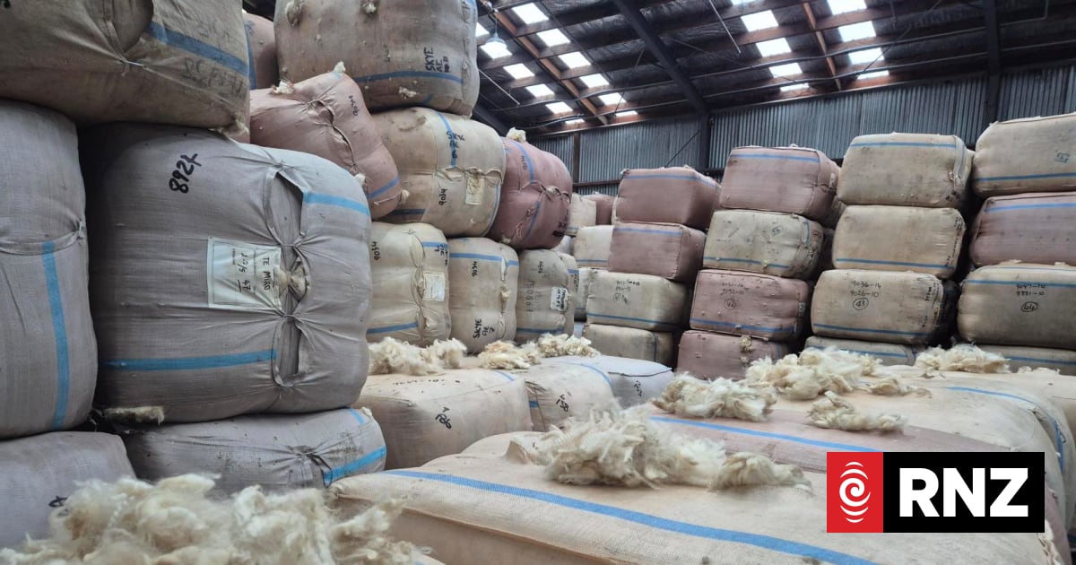 North Island wool fetches highest price in three decades at Napier ...