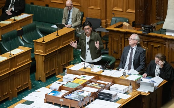 Three Waters debate in Parliament, 23 November 2022
