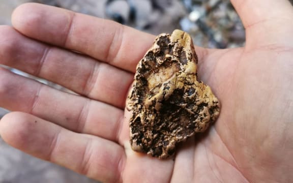 The gold nugget found by Craig Douglas