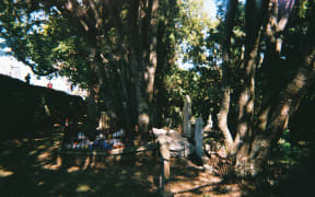 A camp made by people who are homeless in the Symonds Street Cemetery, where one of Brodie Fraser's research participants had rough slept as a teen.
