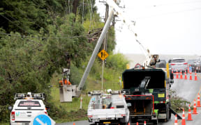 Crews work to remove fallen trees on roads in Kumeū, Auckland.