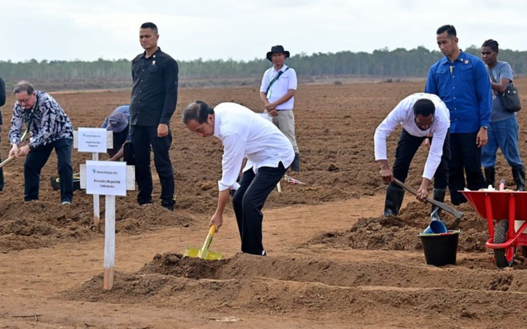 Then-President Joko “Jokowi” Widodo participates in a sugar-cane planting ceremony in the Merauke regency of South Papua province, July 23, 2024. [Indonesian presidential office handout/Muchlis Jr]