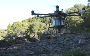 A new seed dropping drone could be the future of mass tree planting.
