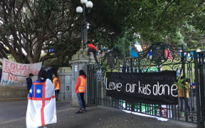 A protestor, draped in the United Tribes flag, walks past the gates of Parliament during the 2022 Anti-Vaccine Mandate protest / occupation.