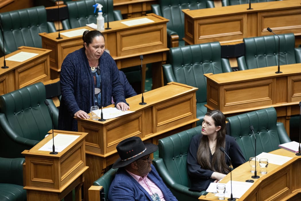 ACT MP Nicole McKee speaks in the debate on Conversion Practices