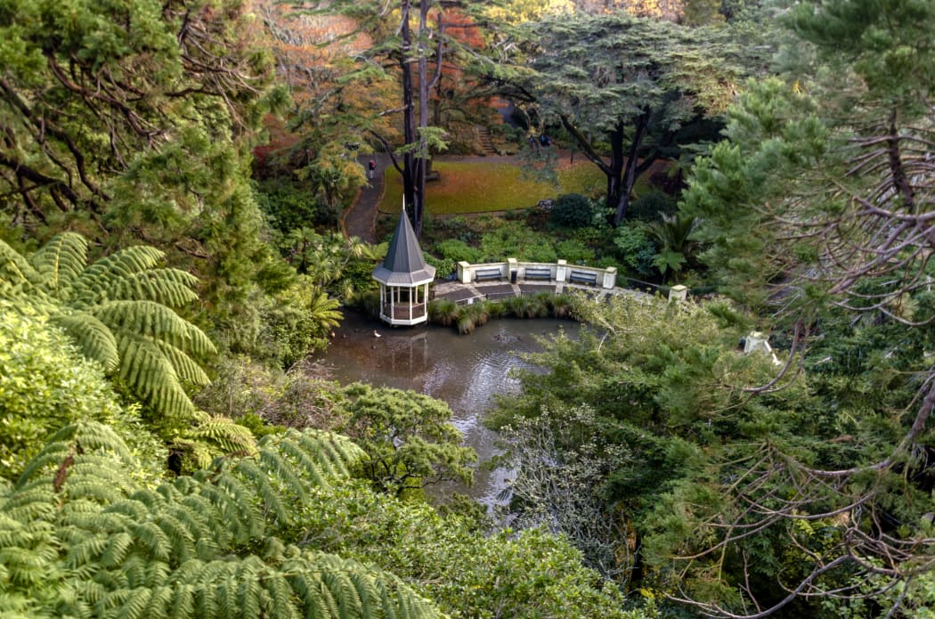 The Duck Pond at the Wellington Botanical garden, New Zealand