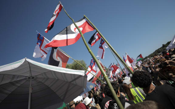 The hikoi arrives at Waitangi.