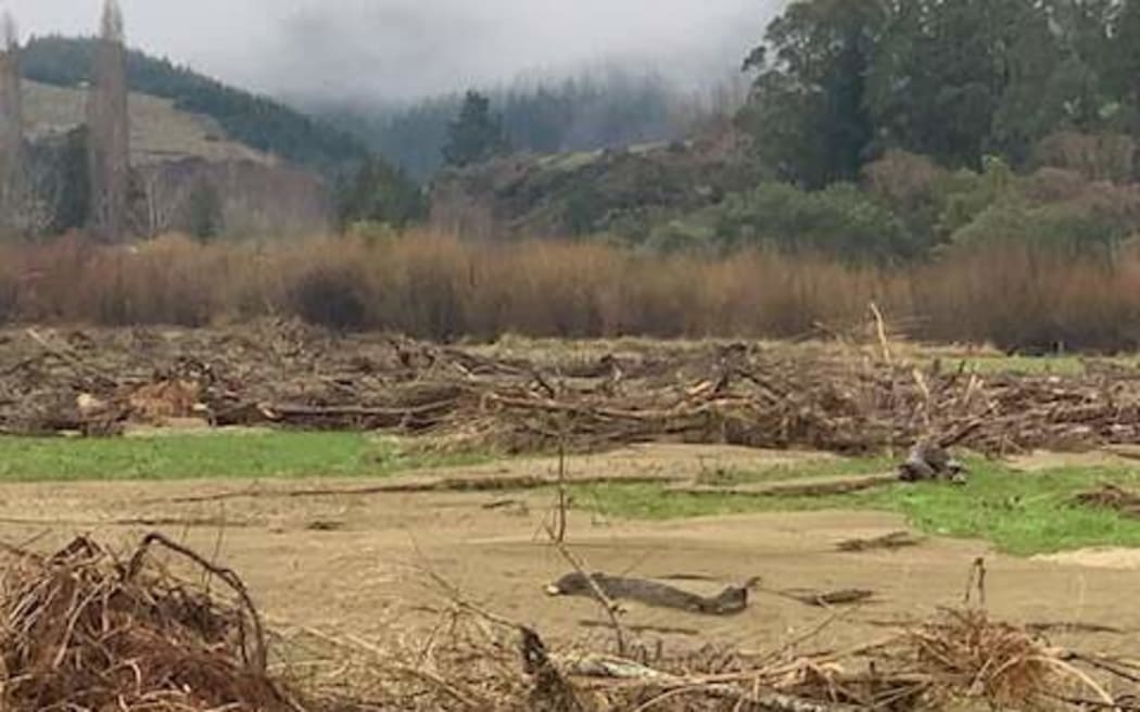Grazing paddocks are strewn with slash and debris at Dion McGaveston's Tapawera farm, when the Motueka River burst its banks during the recent floods.