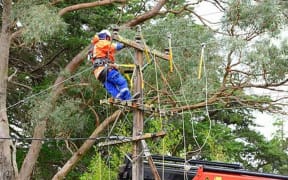 Vector crews were dealing power lines damaged by branches.