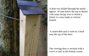 Wētā motel buidling guide