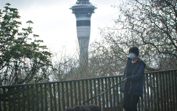 Man walking his dog in front of the Sky tower with a mask on.Covid-19